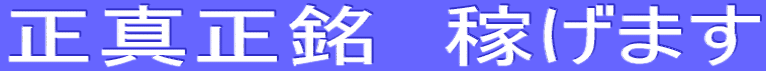 正真正銘　稼げます 失敗しません　手間要らず